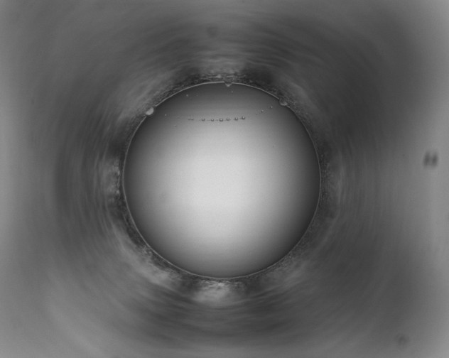 X0000111950083200907271447