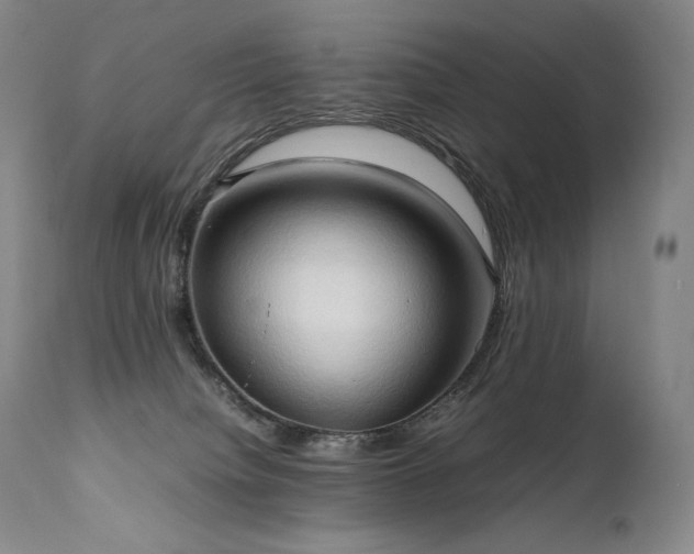 X0000111950084200907271447