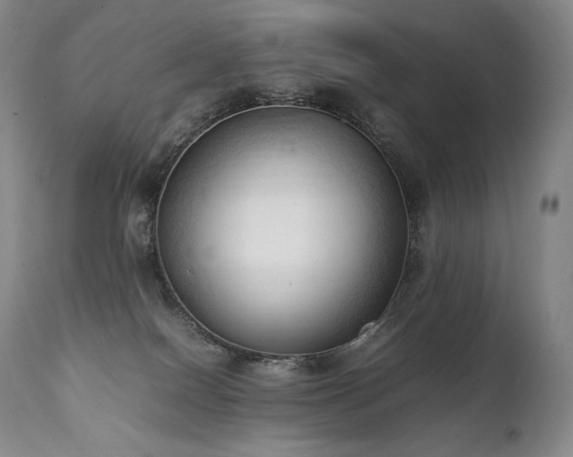 X0000111950086200907271447