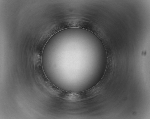 X0000111950087200907271447