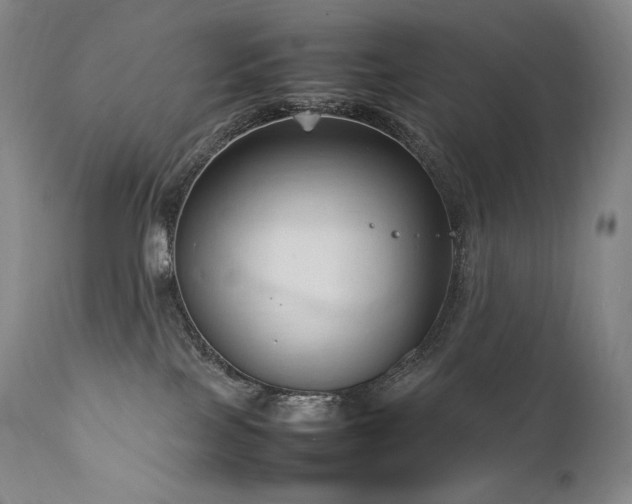 X0000111950089200907271447