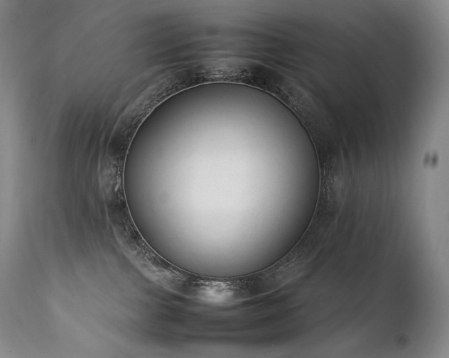 X0000111950091200907271447