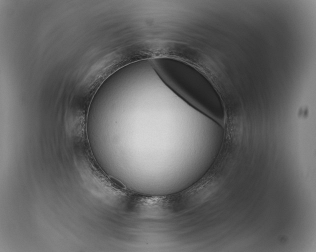 X0000111950092200907271447