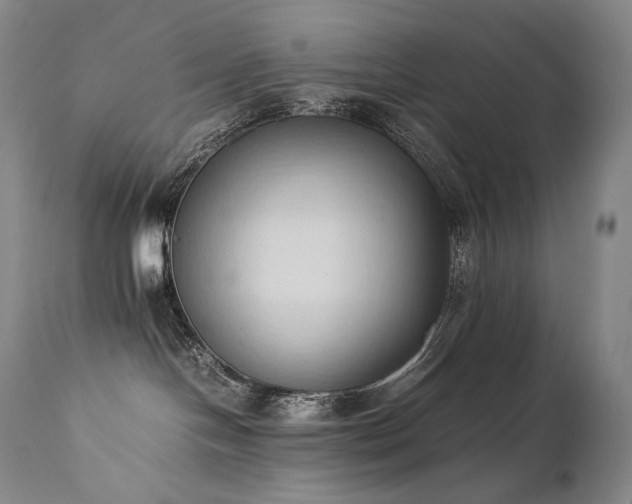 X0000111950094200907271447