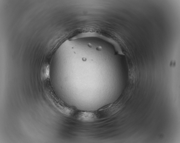 X0000111950095200907271447