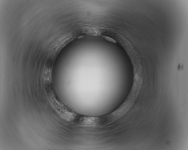 X0000111950096200907271447