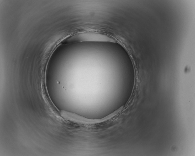 X0000111950097200907271447