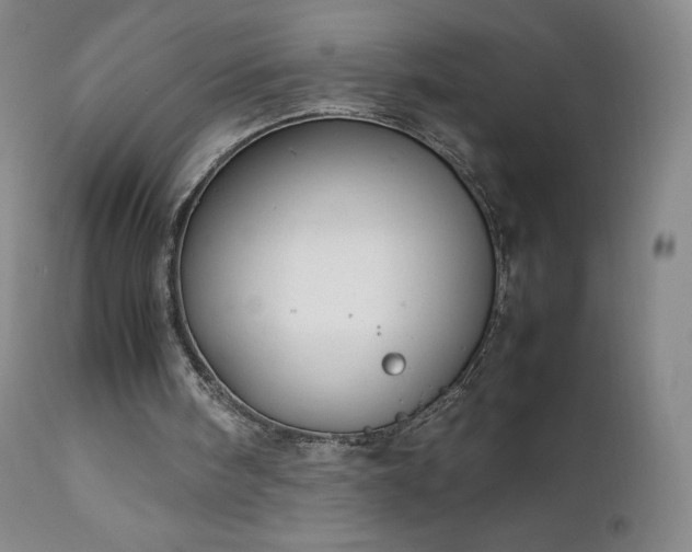 X0000111950098200907271447