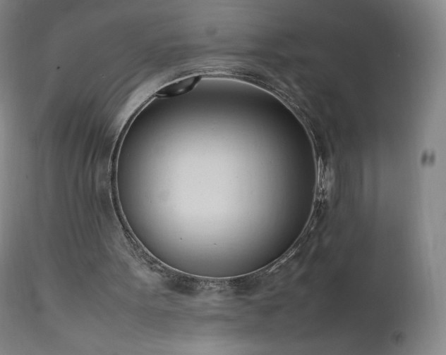 X0000111950099200907271447