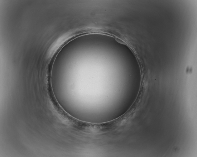 X0000111950103200907271447