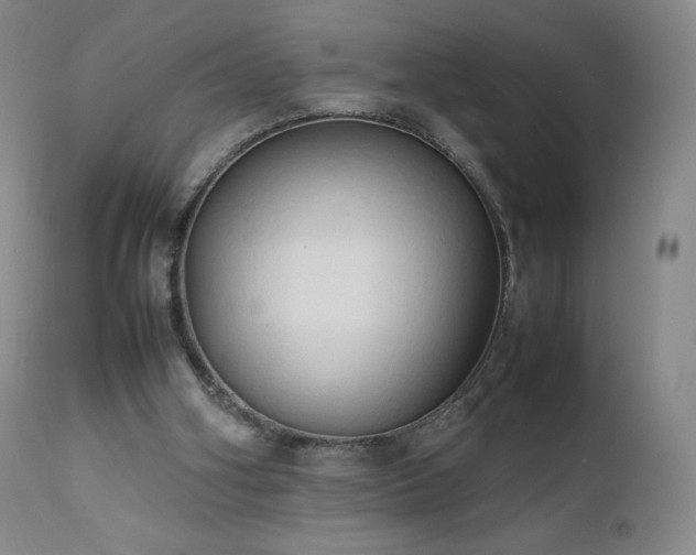 X0000111950106200907271447