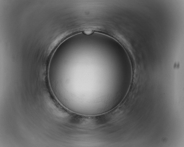 X0000111950107200907271446