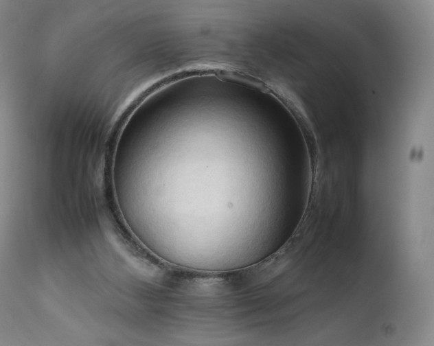 X0000111950108200907271446