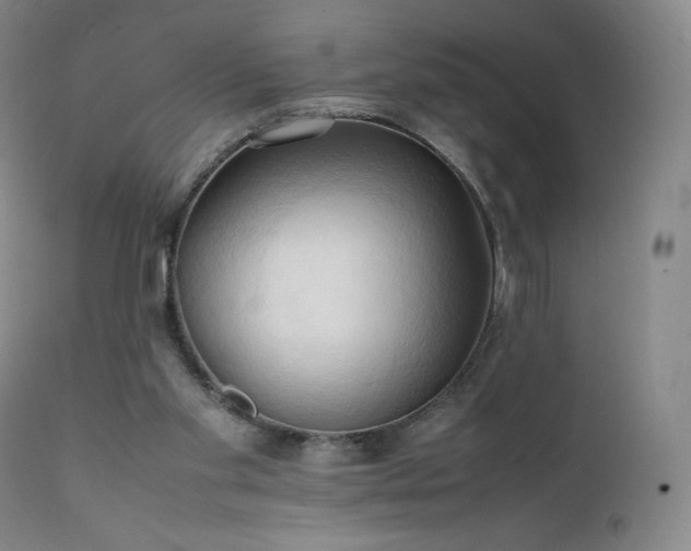 X0000111950109200907271446
