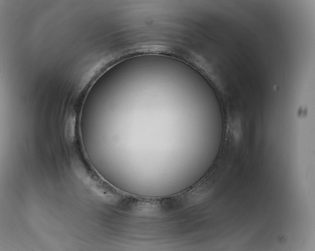 X0000111950110200907271446