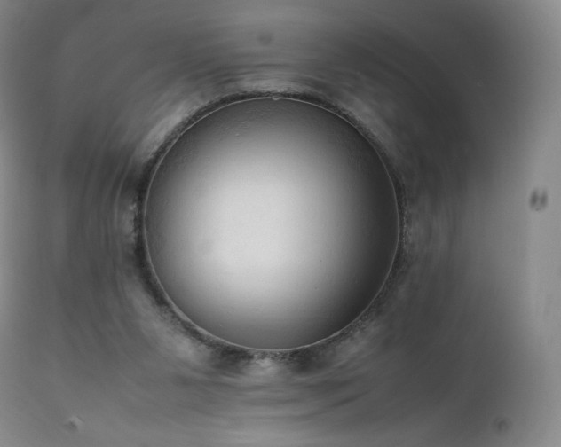 X0000111950111200907271446