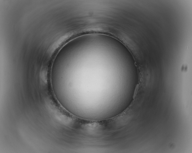 X0000111950112200907271446