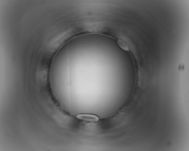 X0000111950113200907271446