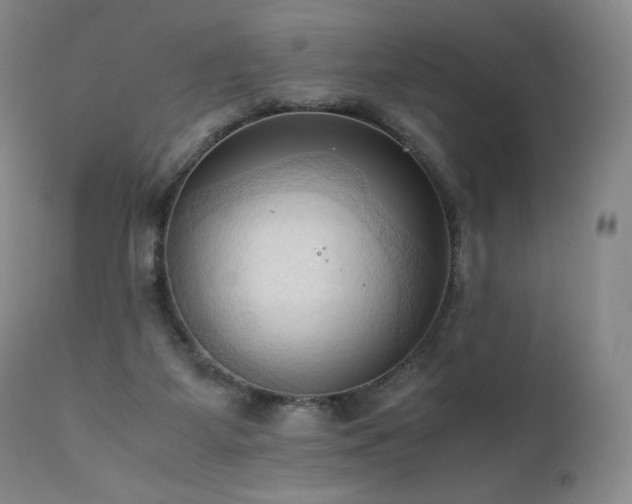 X0000111950115200907271446