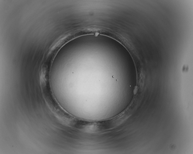 X0000111950116200907271446