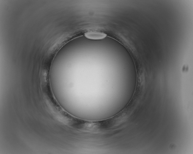 X0000111950117200907271446