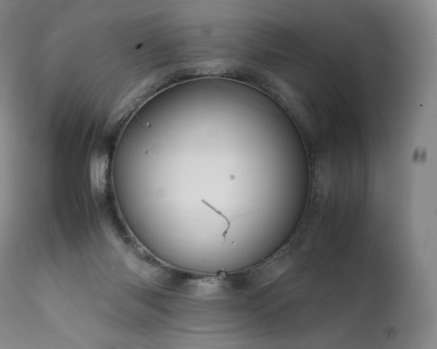X0000111950118200907271446