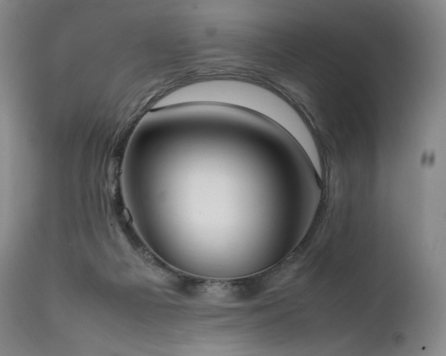X0000111950121200907271446