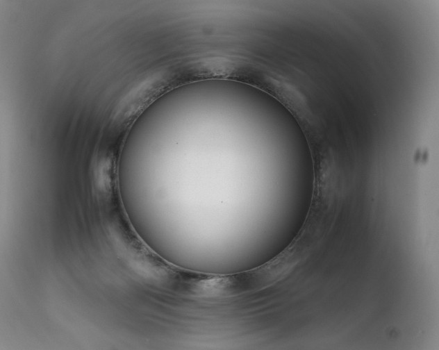 X0000111950122200907271446