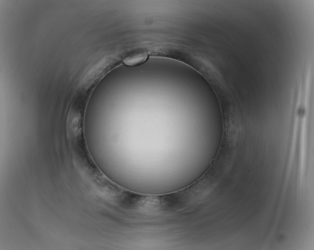 X0000111950123200907271446