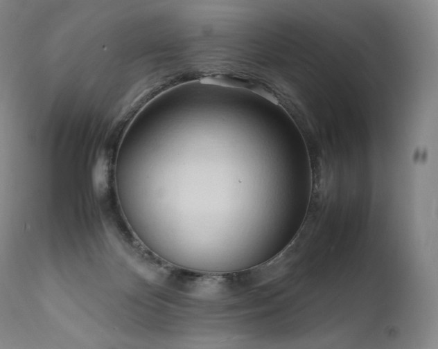 X0000111950124200907271446