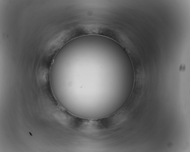 X0000111950125200907271446
