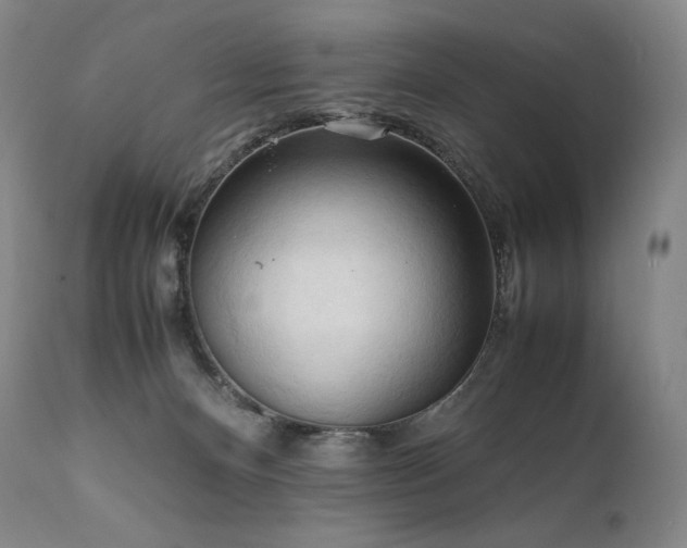 X0000111950128200907271446