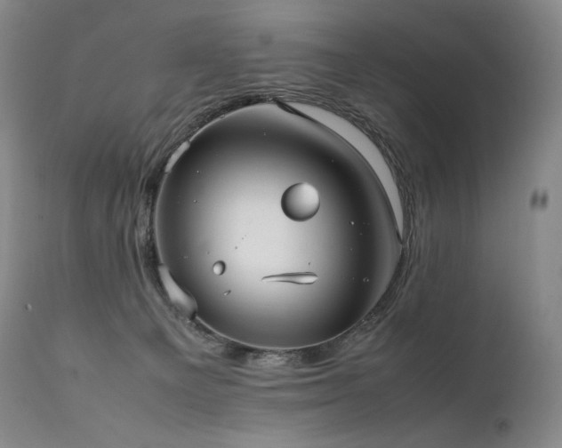 X0000111950129200907271446