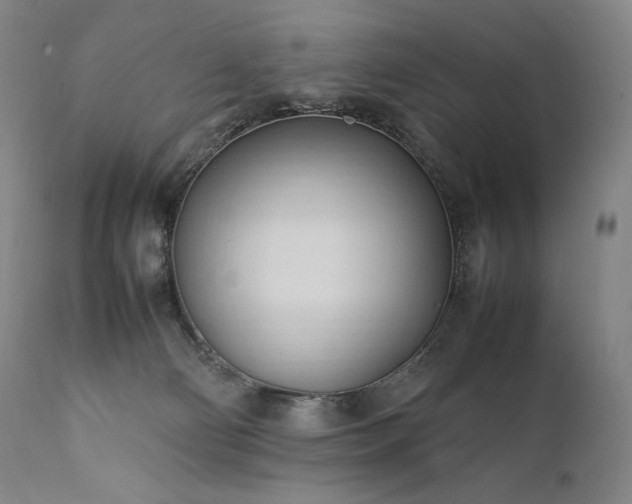 X0000111950130200907271446