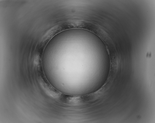 X0000111950132200907271446