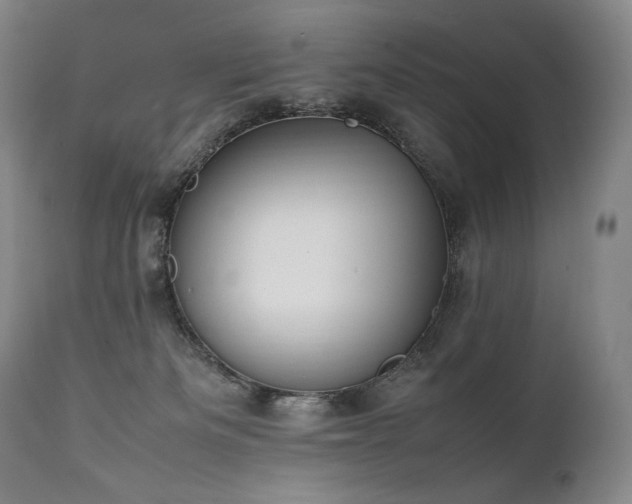 X0000111950133200907271446