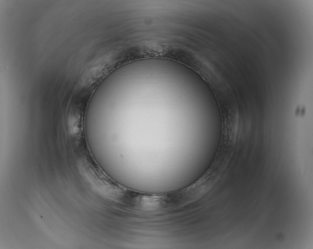 X0000111950134200907271446