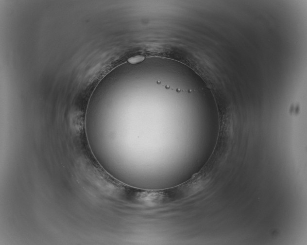 X0000111950135200907271446