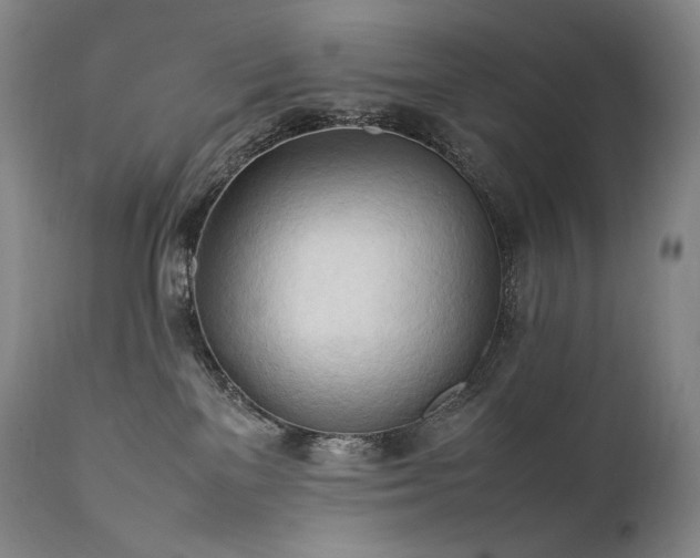 X0000111950137200907271446