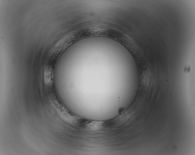X0000111950138200907271446