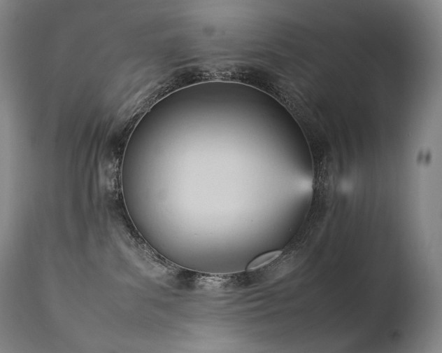 X0000111950139200907271446