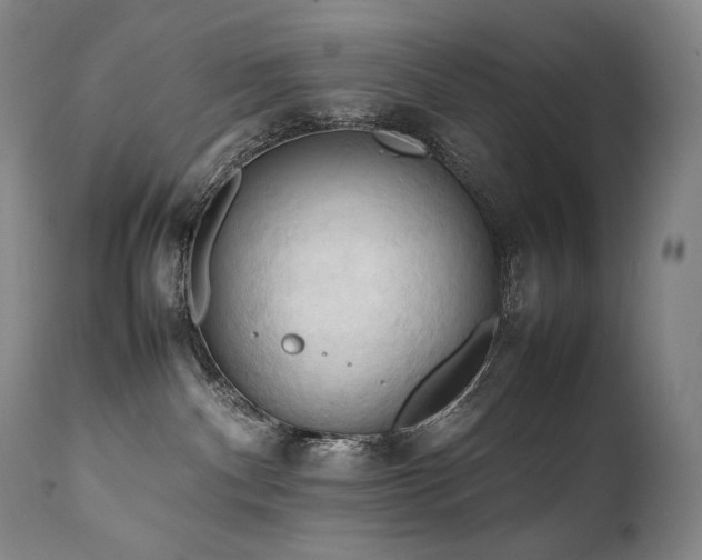 X0000111950140200907271446