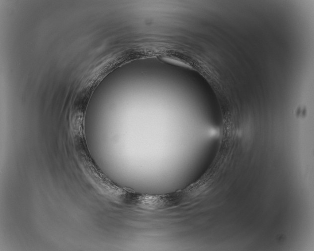X0000111950141200907271446