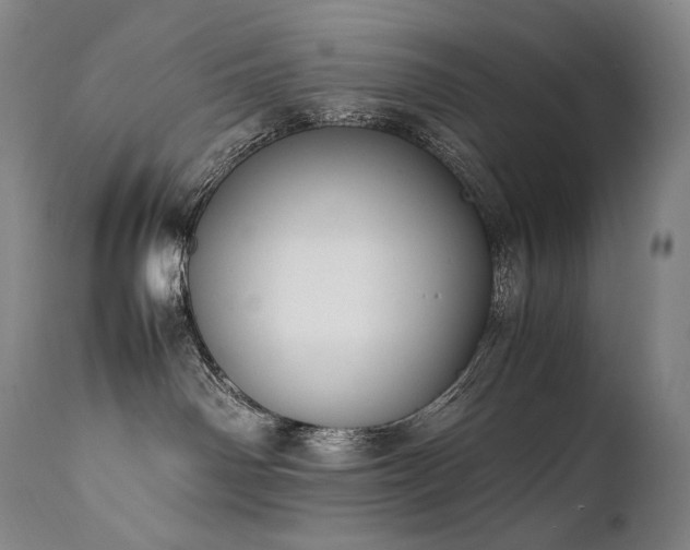 X0000111950142200907271446