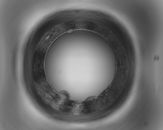 X0000111950143200907271446