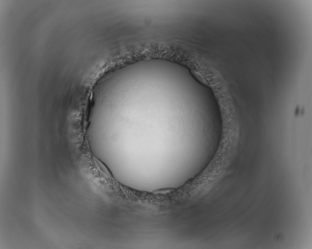 X0000111950144200907271446