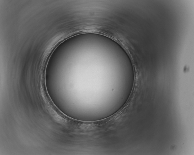 X0000111950145200907271445