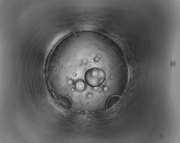 X0000111950147200907271445