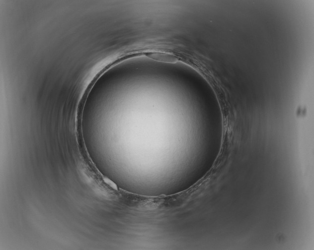 X0000111950148200907271445