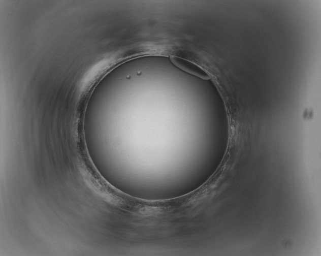 X0000111950149200907271445